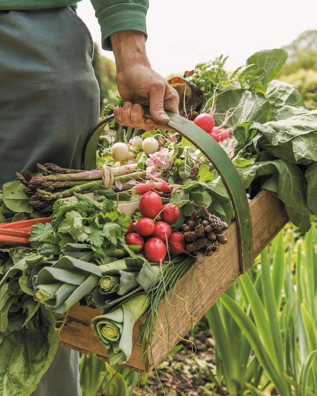 Cesto di verdure fresche appena raccolte, simbolo dell'ospitalità e dell'anima agricola di Villa Sant'Erasmo