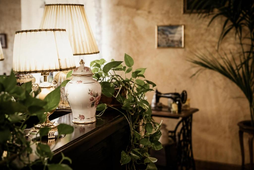 Lampade, porcellane e piante negli ambienti di Villa Sant'Erasmo
