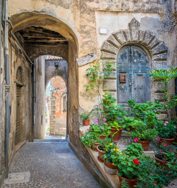 Vicolo lastricato del centro storico di Fiuggi con arco in pietra e vasi di fiori